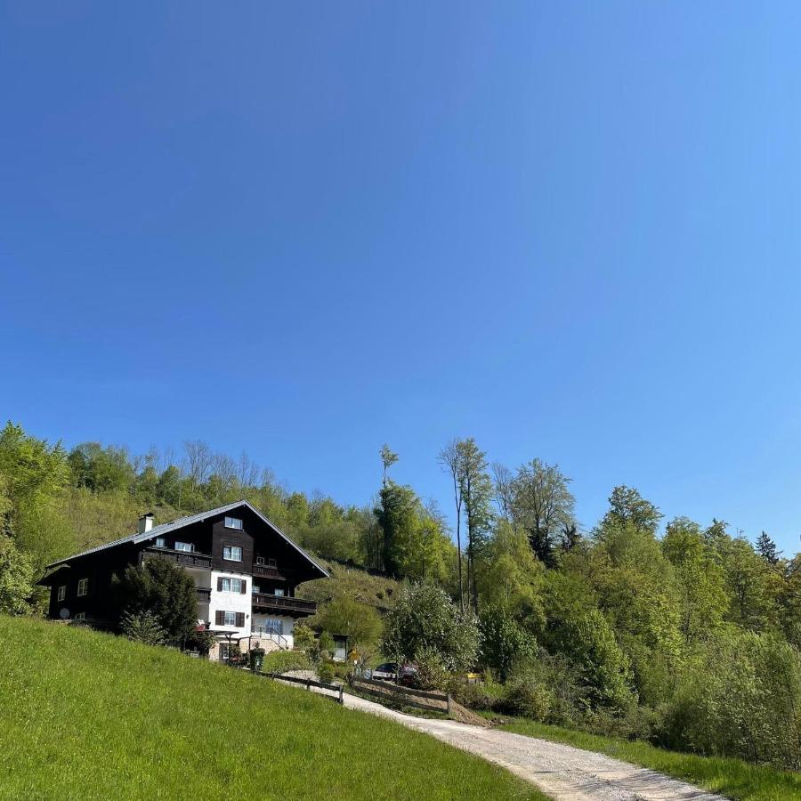 Pension 'S Waldeck Traunkirchen Ngoại thất bức ảnh